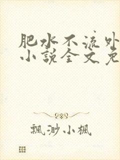 肥水不流外人田小说全文免费阅读1封面