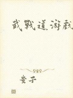 武战道游戏