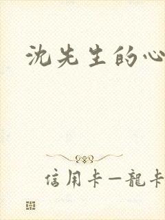 沈先生的心头宝