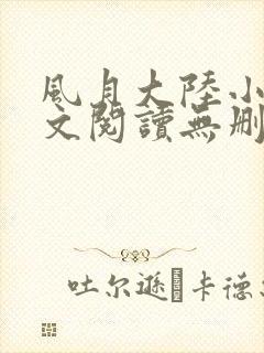 风月大陆小说全文阅读无删减