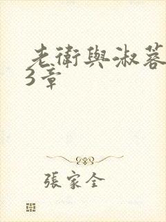 老卫与淑蓉第13章封面