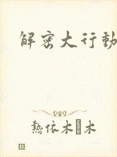 解密大行动