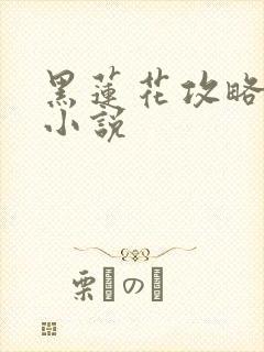 黑莲花攻略手册小说