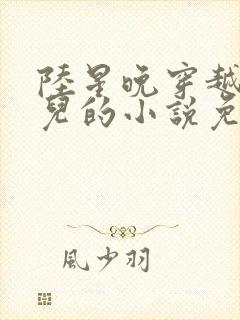 陆星晚穿越成婴儿的小说免费阅读全文