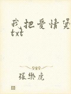 我把爱情煲成汤txt