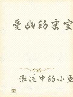 爱幽的密室小说