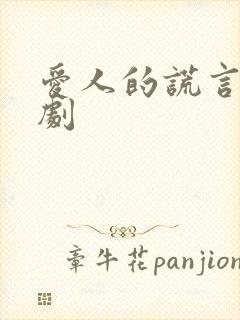 爱人的谎言电视剧