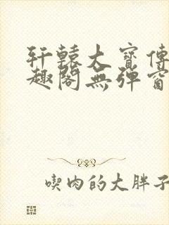 轩辕大宝传奇笔趣阁无弹窗