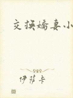 交换娇妻小说