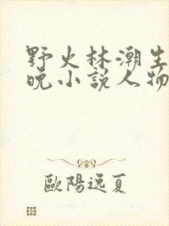 野火林潮生林晚晚小说人物野火