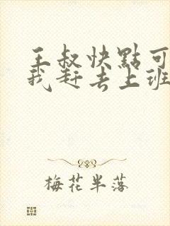 王叔快点可以吗我赶去上班封面