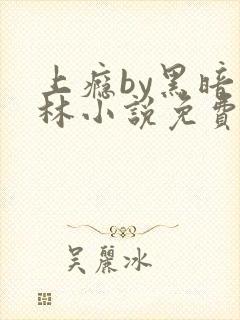 上瘾by黑暗森林小说免费封面