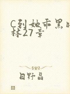 C到她乖黑暗森林27章封面