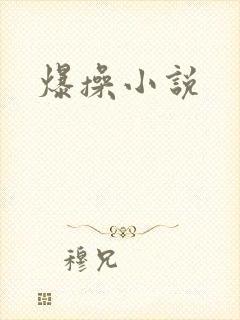 爆操小说