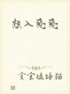 想入飞飞封面