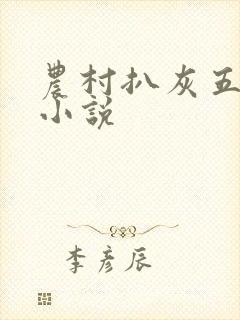 农村扒灰五十篇小说封面