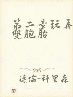 第二章玩弄少妇双胞胎封面