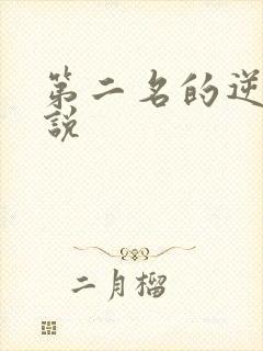 第二名的逆袭小说