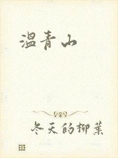 温青山封面