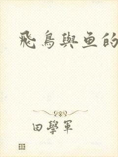 飞鸟与鱼的故事