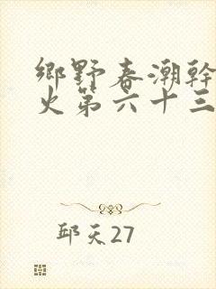 乡野春潮干柴烈火第六十三章