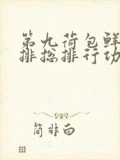 第九荷包鲜辣肉排总排行功能介绍封面