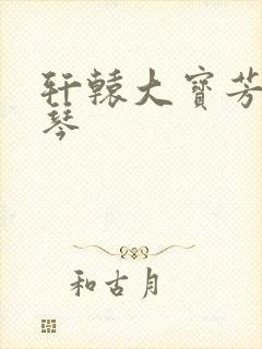 轩辕大宝芳菲雅琴