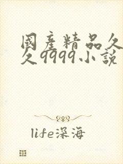 国产精品久久久久9999小说