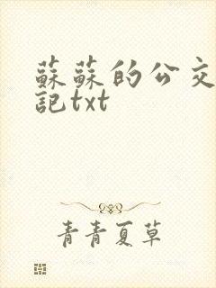 苏苏的公交车日记txt