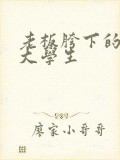 老板胯下的秘书大学生封面