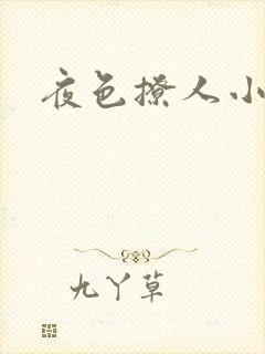 夜色撩人小说