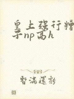 皇上强行糟蹋太子np高h封面