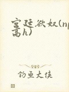宫廷欲奴(np高h)