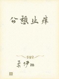 公憩止痒封面