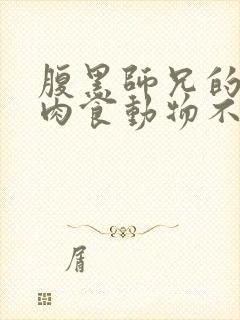 腹黑师兄的日常肉食动物不食草封面