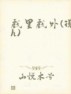 戏里戏外(现场h)