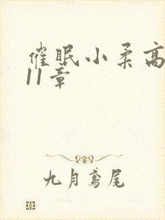 催眠小柔高达第11章