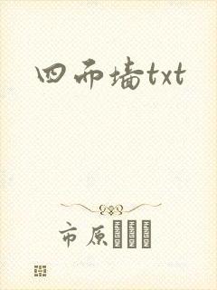 四面墙txt