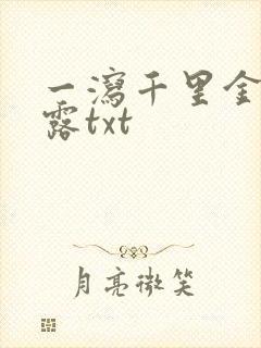 一泻千里金银花露txt