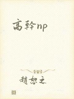 高干np