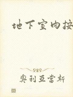 地下室肉按摩椅