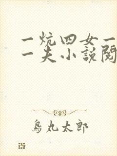 一炕四女一共侍一夫小说阅读