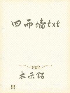 四面墙txt