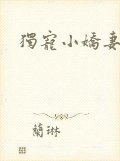 独宠小娇妻