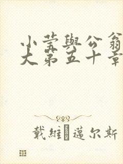 小莹与公翁熄粗大第五十章封面