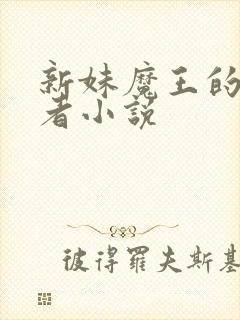 新妹魔王的契约者小说