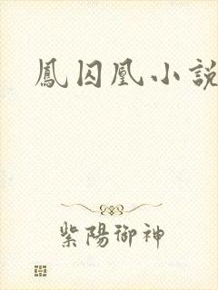 凤囚凰小说