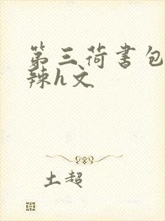 第三荷书包网高辣h文
