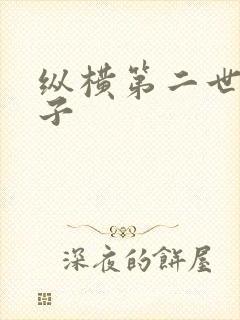 纵横第二世界宽子