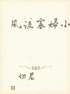 风流寡妇小说